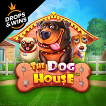 The Dog House game by Pragmatic Play – logo hosted on Star Casino